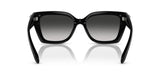 0HC8408U-Injected Woman Sunglass-Black