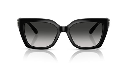 0HC8408U-Injected Woman Sunglass-Black