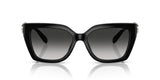 0HC8408U-Injected Woman Sunglass-Black