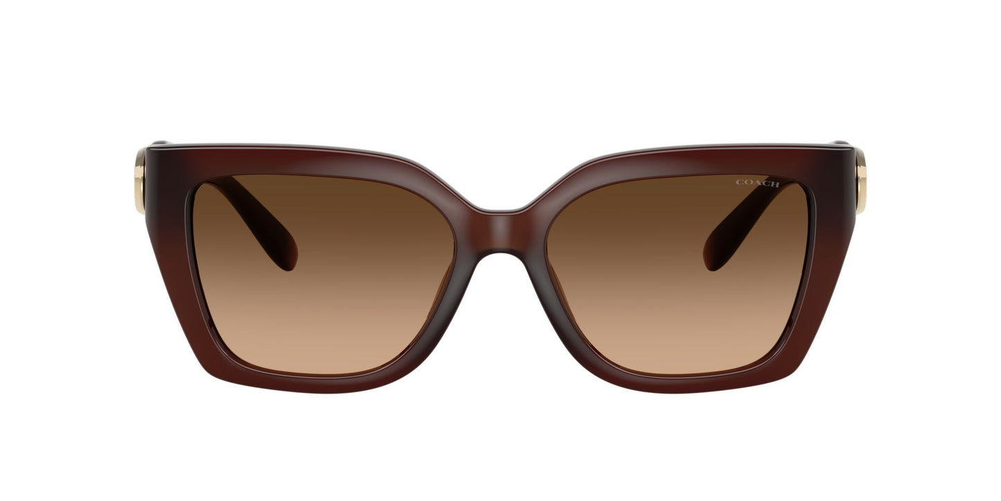 0HC8408U-Injected Woman Sunglass-Milky Hazelnut