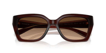 0HC8408U-Injected Woman Sunglass-Milky Hazelnut