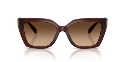 0HC8408U-Injected Woman Sunglass-Milky Hazelnut