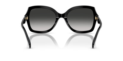 0HC8410U-Polyamide Standard Woman Sunwear-Black