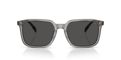 0HC8411U-Polyamide Standard Man Sunwear-Transparent Grey