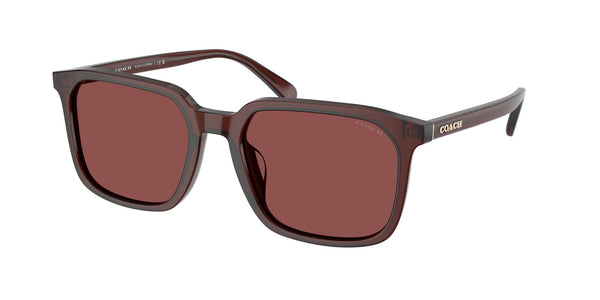 Polyamide Standard Man Sunwear