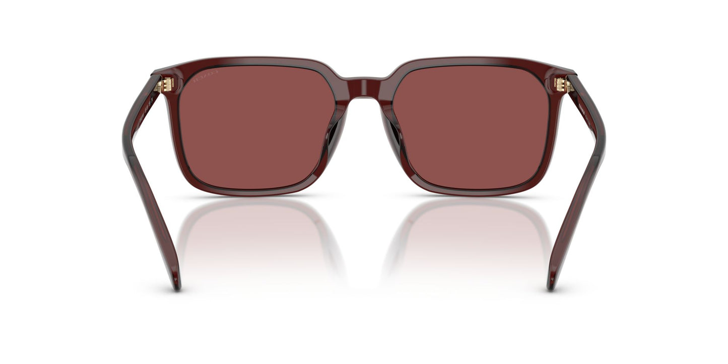 0HC8411U-Polyamide Standard Man Sunwear-Transparent Mahogany