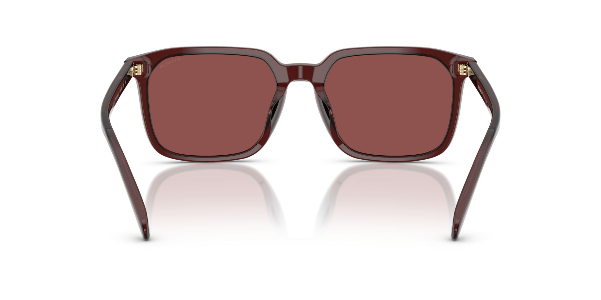 0HC8411U-Polyamide Standard Man Sunwear-Transparent Mahogany
