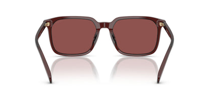0HC8411U-Polyamide Standard Man Sunwear-Transparent Mahogany