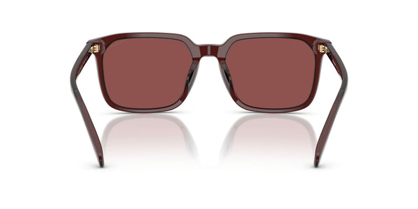 Polyamide Standard Man Sunwear