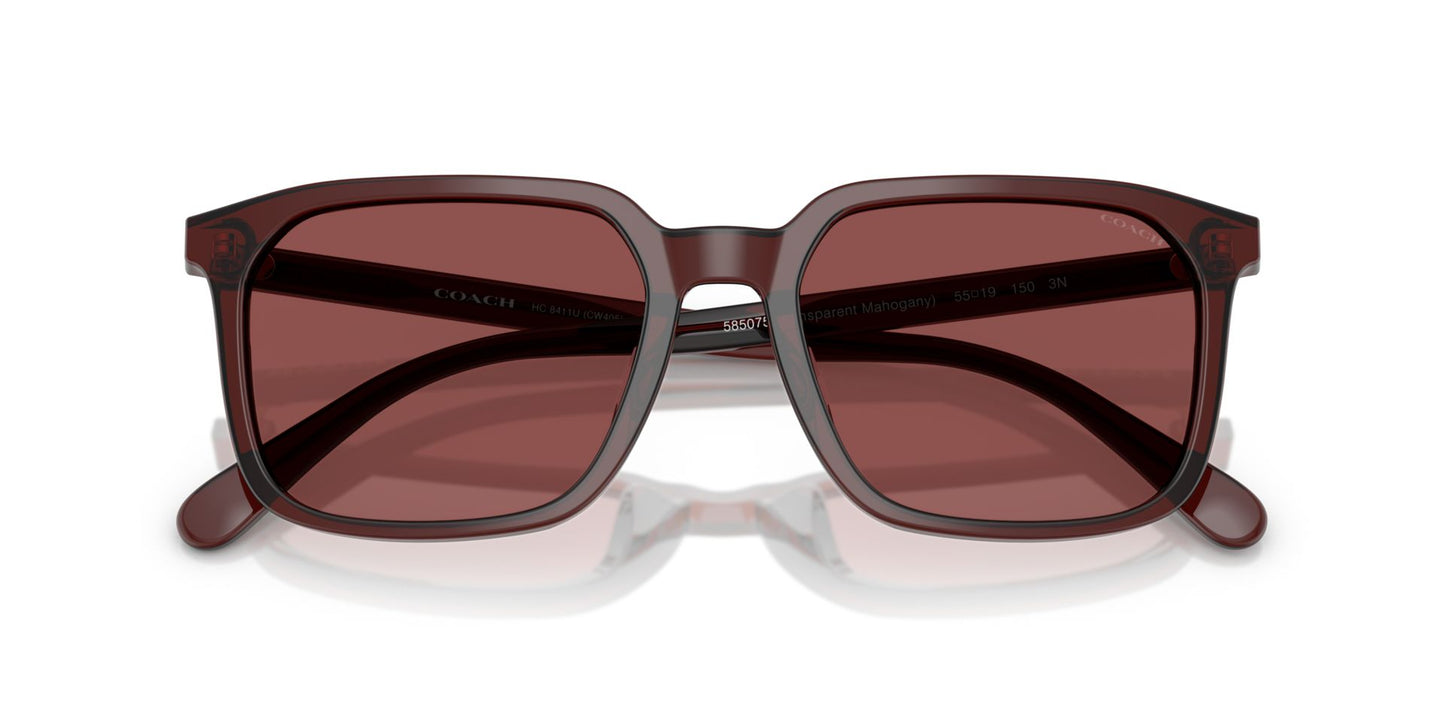 0HC8411U-Polyamide Standard Man Sunwear-Transparent Mahogany