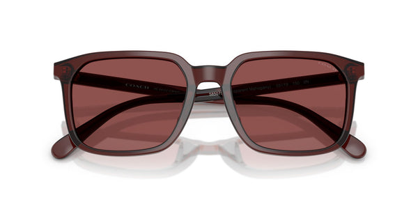 Polyamide Standard Man Sunwear