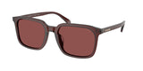 0HC8411U-Polyamide Standard Man Sunwear-Transparent Mahogany