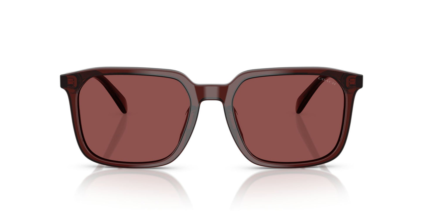 0HC8411U-Polyamide Standard Man Sunwear-Transparent Mahogany