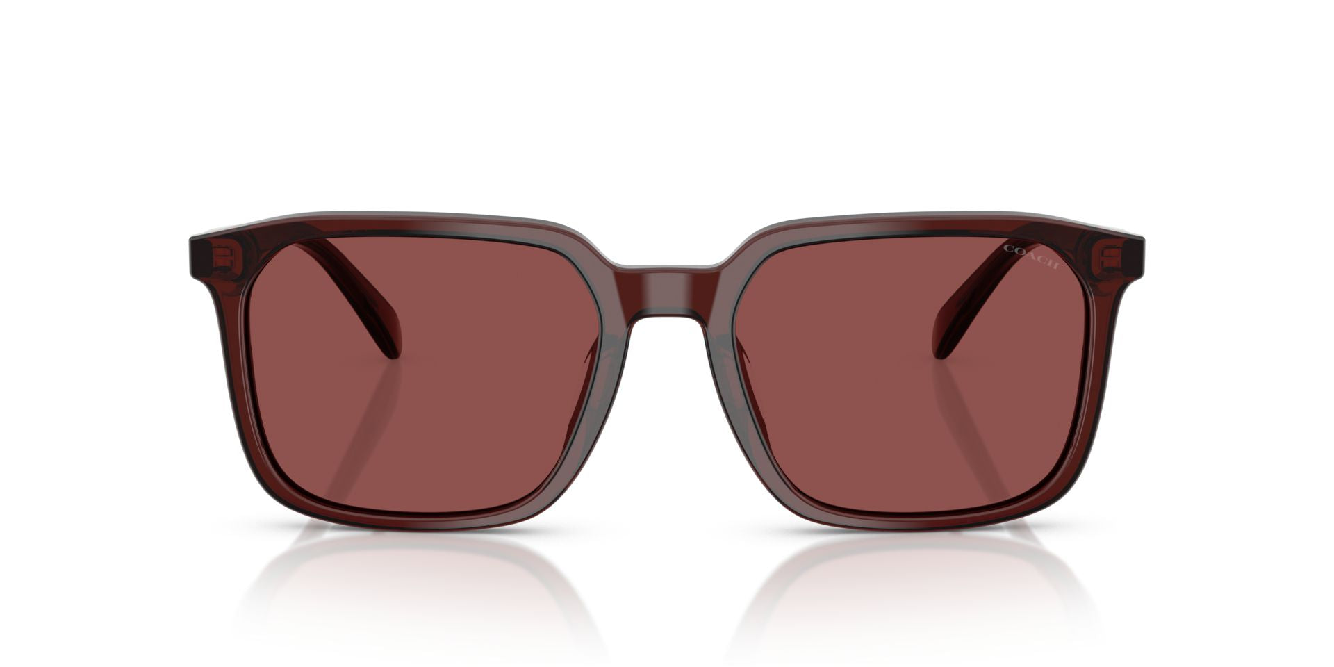 0HC8411U-Polyamide Standard Man Sunwear-Transparent Mahogany