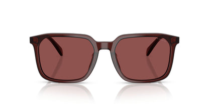 0HC8411U-Polyamide Standard Man Sunwear-Transparent Mahogany