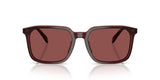 0HC8411U-Polyamide Standard Man Sunwear-Transparent Mahogany