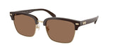 0HC8412-Acetate Man Sunglass-Light Gold / Brown