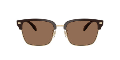 0HC8412-Acetate Man Sunglass-Light Gold / Brown
