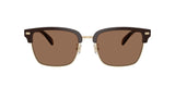 0HC8412-Acetate Man Sunglass-Light Gold / Brown