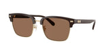 0HC8412-Acetate Man Sunglass-Light Gold / Brown