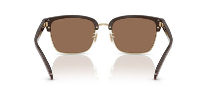 0HC8412-Acetate Man Sunglass-Light Gold / Brown