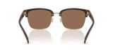 0HC8412-Acetate Man Sunglass-Light Gold / Brown