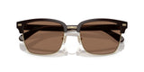 0HC8412-Acetate Man Sunglass-Light Gold / Brown