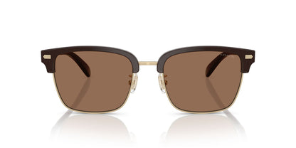 0HC8412-Acetate Man Sunglass-Light Gold / Brown