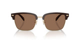 0HC8412-Acetate Man Sunglass-Light Gold / Brown