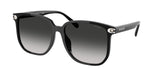 Polyamide Standard Woman Sunwear