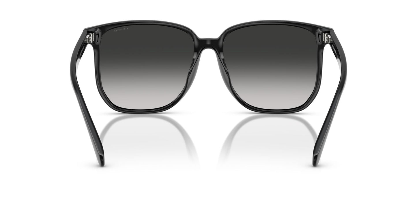 0HC8413BD-Polyamide Standard Woman Sunwear-Black