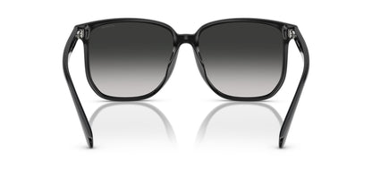 0HC8413BD-Polyamide Standard Woman Sunwear-Black