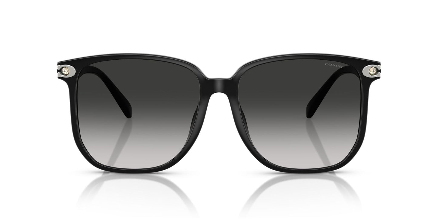 0HC8413BD-Polyamide Standard Woman Sunwear-Black