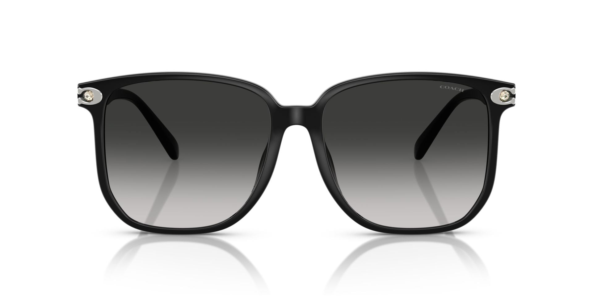 0HC8413BD-Polyamide Standard Woman Sunwear-Black