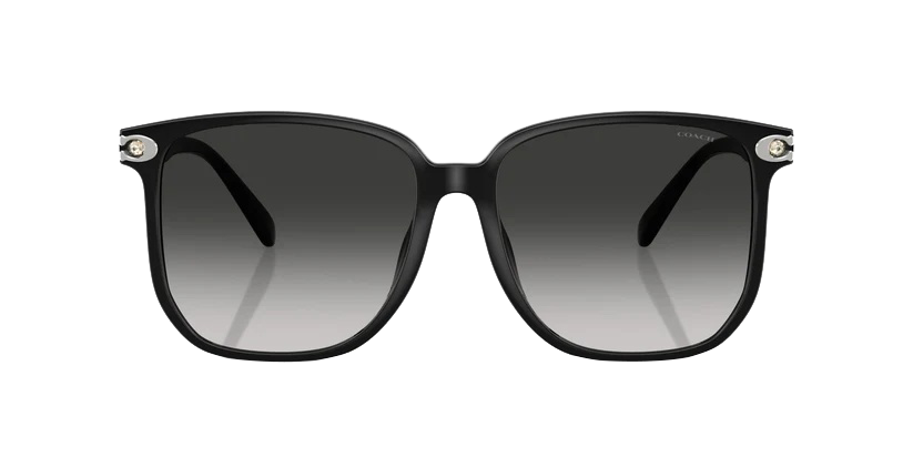 0HC8413BD-Polyamide Standard Woman Sunwear-Black