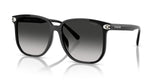 0HC8413BD-Polyamide Standard Woman Sunwear-Black