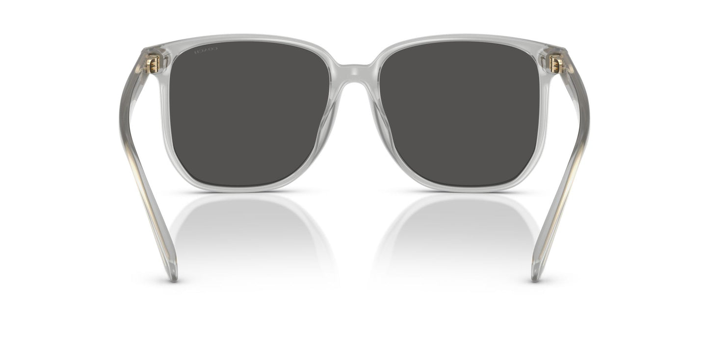 0HC8413BD-Polyamide Standard Woman Sunwear-Transparent Dove