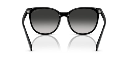 0HC8414BD-Injected Woman Sunglass-Black