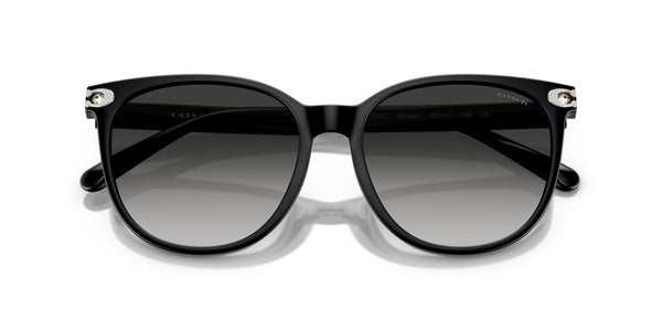 Injected Woman Sunglass
