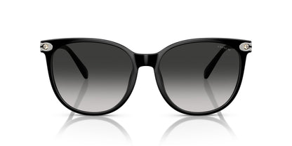 0HC8414BD-Injected Woman Sunglass-Black