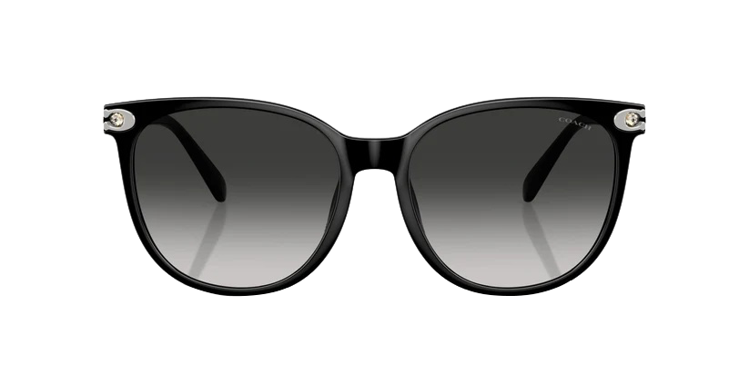 0HC8414BD-Injected Woman Sunglass-Black