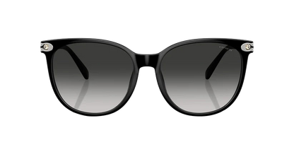 0HC8414BD-Injected Woman Sunglass-Black