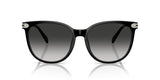 0HC8414BD-Injected Woman Sunglass-Black