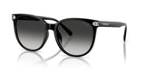 0HC8414BD-Injected Woman Sunglass-Black