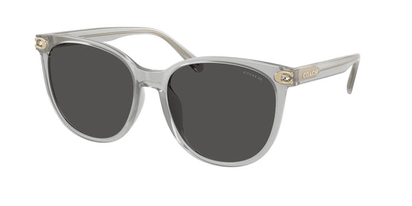 Injected Woman Sunglass