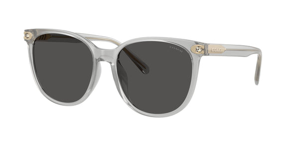 Injected Woman Sunglass