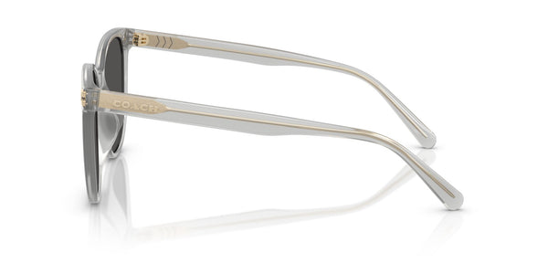 Injected Woman Sunglass