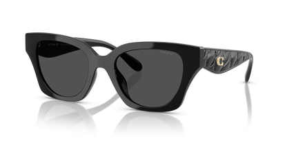 0HC8418U-Coach Sunwear-Black