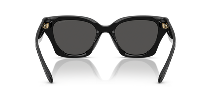 0HC8418U-Coach Sunwear-Black