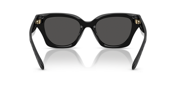 Coach Sunwear